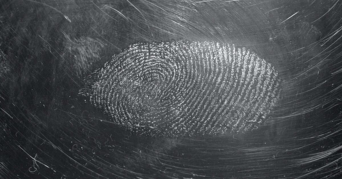 Using forensic anthropology to solve crimes Royal Institution